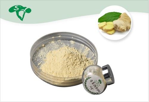 Ginger Extract Gingerol